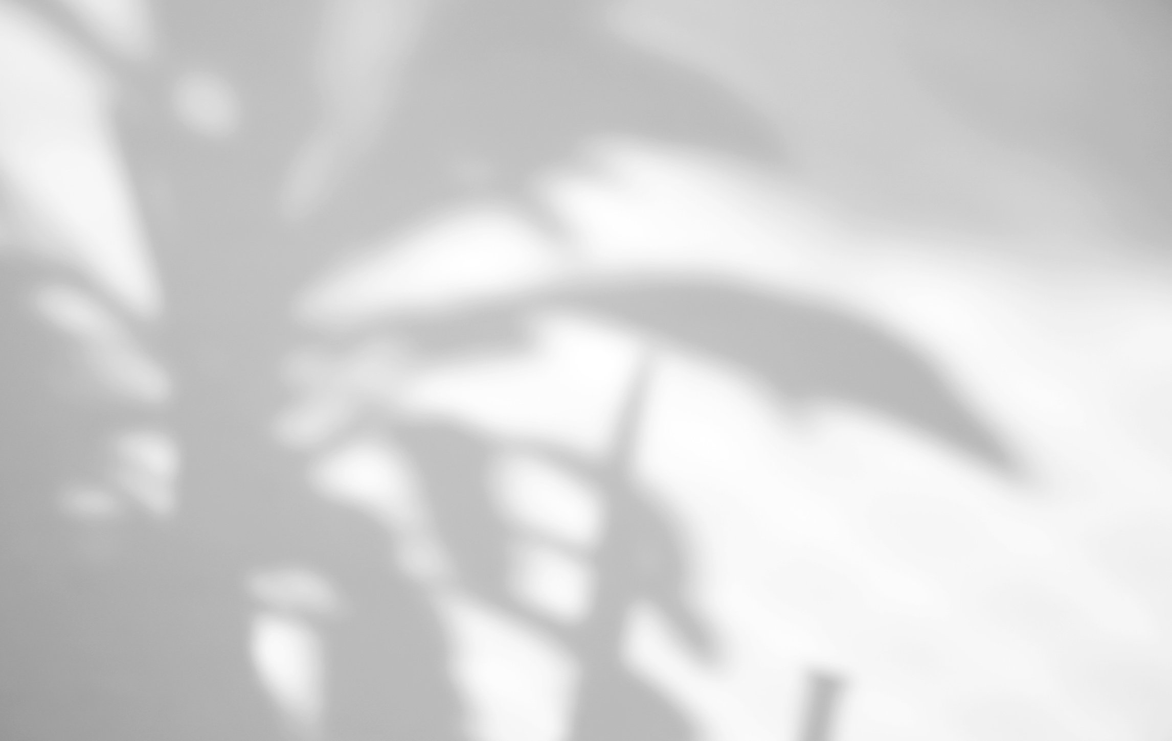 Plant Leaves Natural Shadow Overlay